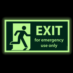 Exit for emergency use only (jälkivalaiseva)