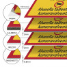 Alueella huomiotava malli 2