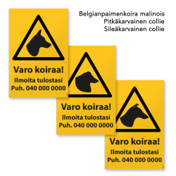 Varo koiraa (FCI 1 rodut,...