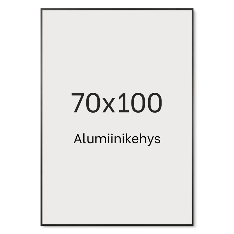 Alumiinikehys 70x100 cm tasainen profiili 7,8 mm