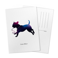 Pieni koira -tähdistö postikortti