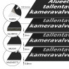 Alueella tallentava kameravalvonta MV