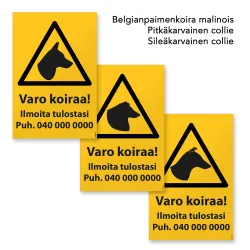 Varo koiraa (FCI 1 rodut, osa 1)