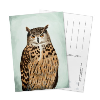 Huuhkaja -postikortti
